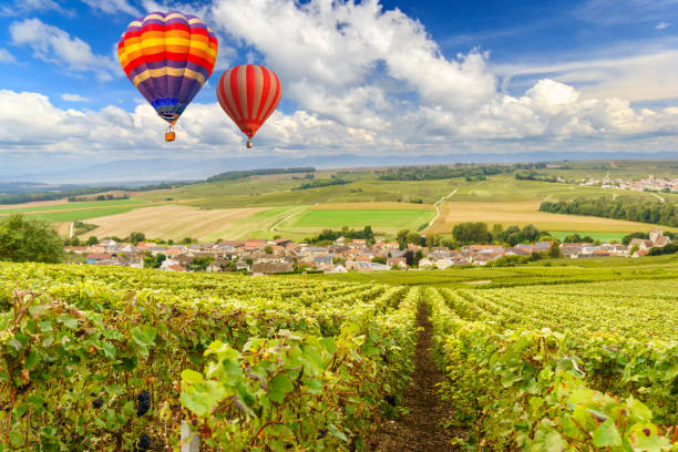 Leisure activities in Burgundy