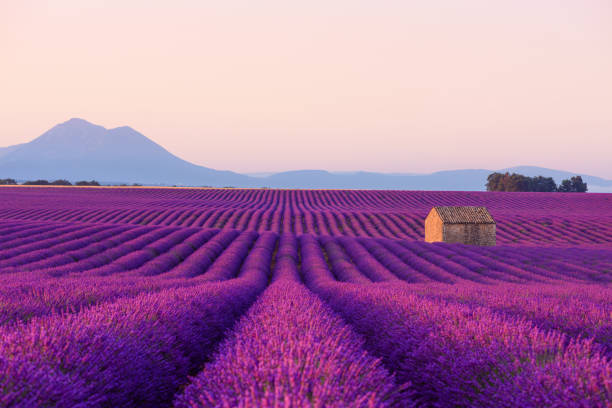 Natural and cultural heritage of Provence